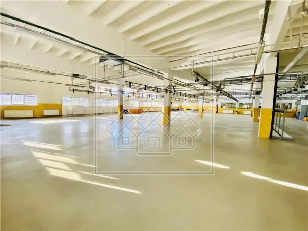 Spațiu industrial Sibiu - poza 17
