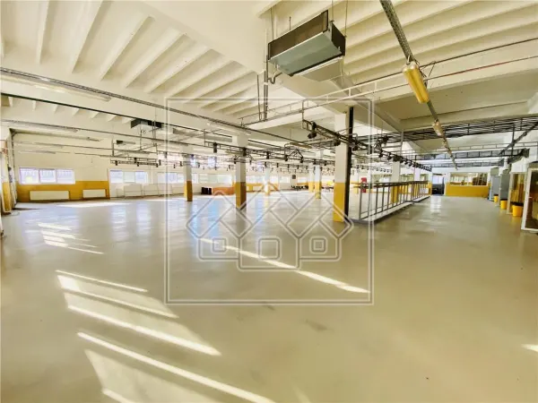 Spațiu industrial Sibiu - poza 18