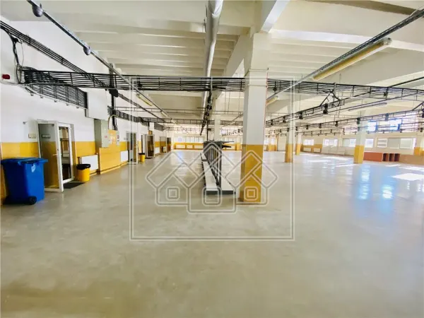 Spațiu industrial Sibiu - poza 8