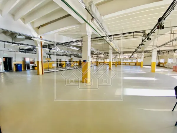 Spațiu industrial Sibiu - poza 9