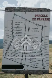 Teren intravilan constructii - 3000 mp - Paltinis - foto 9