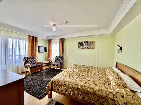 Hotel/Pensiune Victoria - poza 4