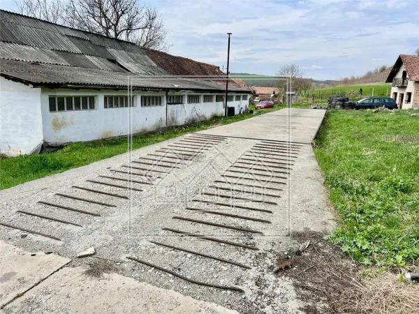 Spațiu comercial Seica Mica - poza 5