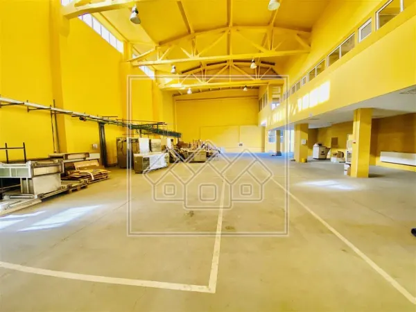 Spațiu industrial Sibiu - poza 3