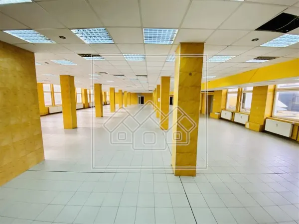 Spațiu industrial Sibiu - poza 1