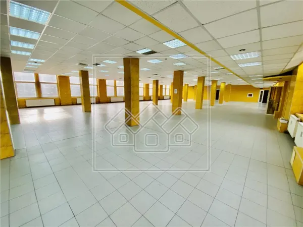 Spațiu industrial Sibiu - poza 6