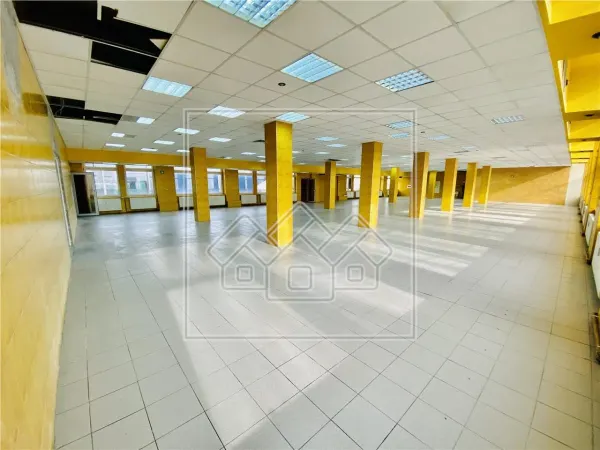 Spațiu industrial Sibiu - poza 8
