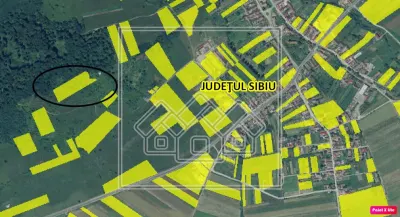 Teren intravilan cu priveliste deosebita - pretabil investitie - Bradu - foto 9