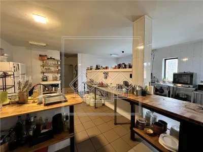 Hotel/Pensiune Victoria - poza 27