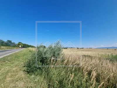 Teren intravilan de 10.000 mp, Calea Surii Mici - foto 4