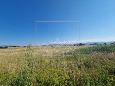Teren intravilan de 10.000 mp, Calea Surii Mici - foto 6