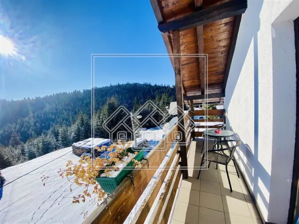Hotel/Pensiune Paltinis - poza 2