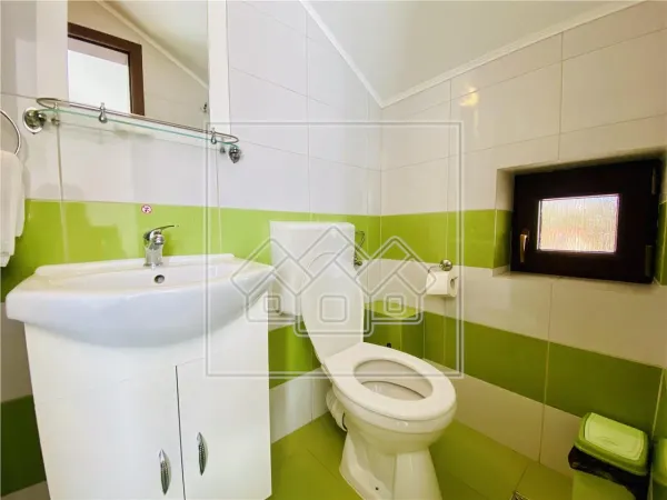 Hotel/Pensiune Paltinis - poza 17