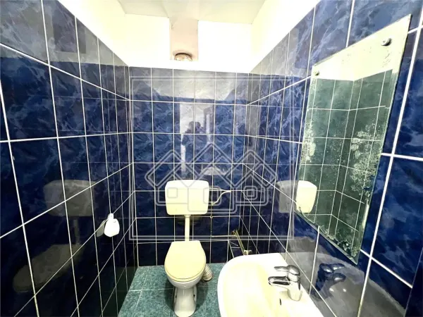 Spațiu comercial Sibiu - poza 8