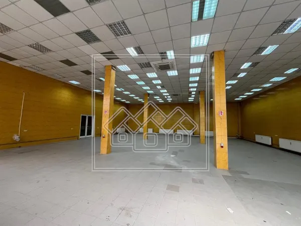Spațiu industrial Sibiu - poza 1