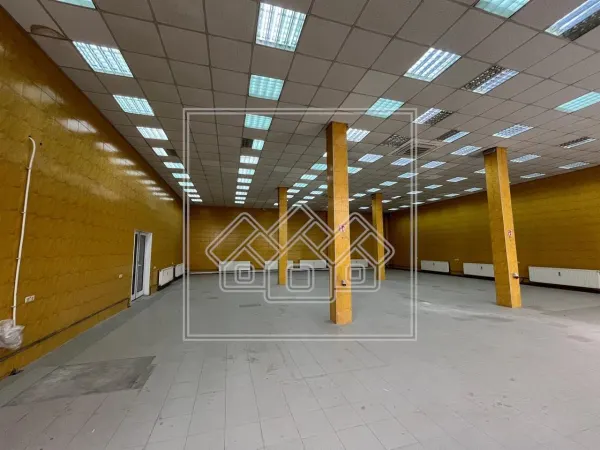 Spațiu industrial Sibiu - poza 2