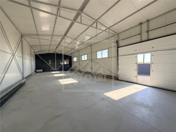 Spațiu industrial Rusciori - poza 3