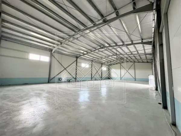 Spațiu industrial Șura Mică - poza 12