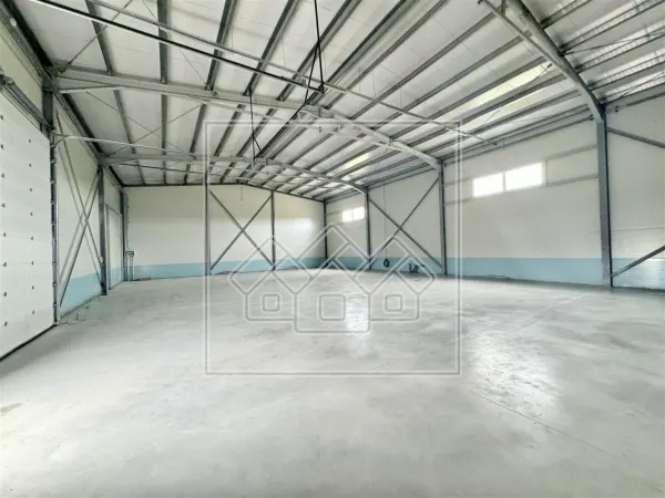 Spațiu industrial Șura Mică - poza 10