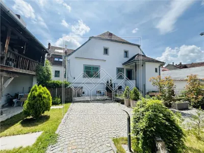 Casa cu 6 apartamente + gradina - pretabil investitii - foto 1