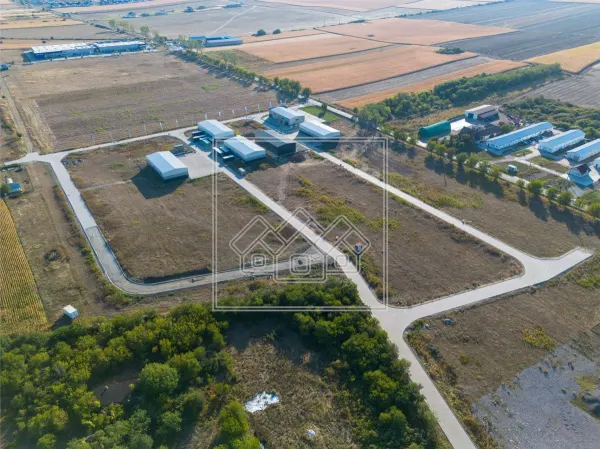 Spațiu industrial Șura Mică - poza 2