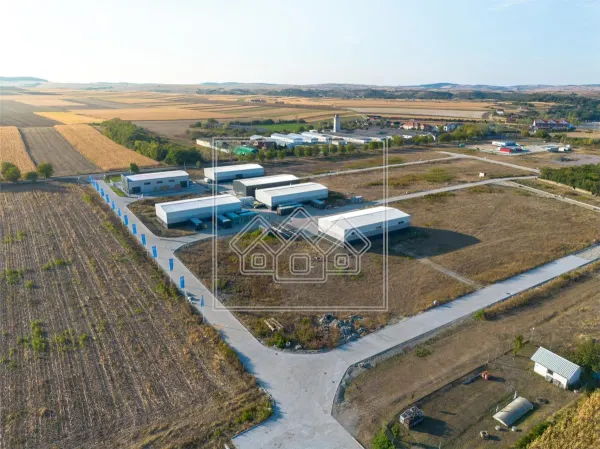 Spațiu industrial Șura Mică - poza 8