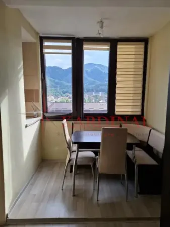 Apartament 1 camera Brașov - poza 3