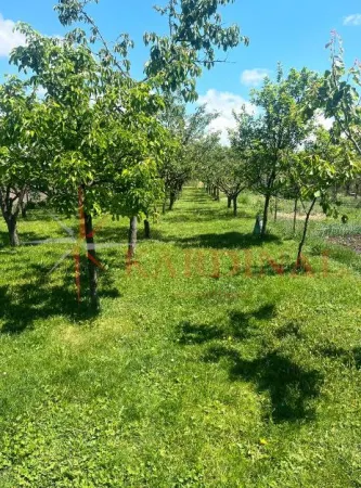 Casă 7 camere Hărman - poza 18