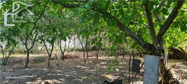 Casă 3 camere Siria - poza 2