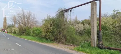TEREN INTRAVILAN DOROBANTI - foto 1