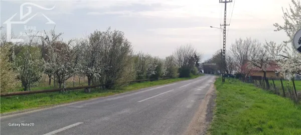 Teren Dorobanți - poza 3