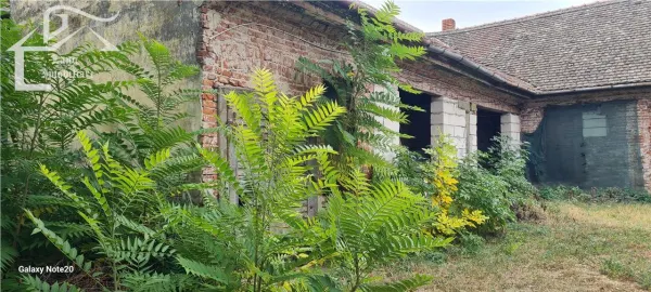 Casă 6 camere Arad - poza 1