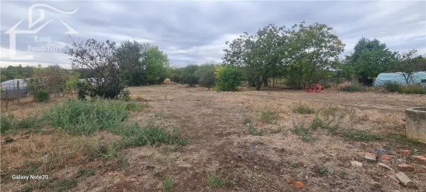 Casă 6 camere Arad - poza 5