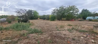 Casă 6 camere Arad - poza 5
