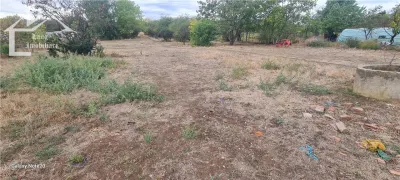 Casă 6 camere Arad - poza 6