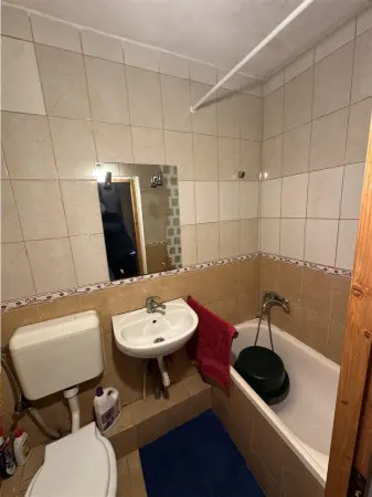 Apartament 1 camera Timișoara - poza 4
