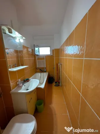 Apartament 1 camera Timișoara - poza 2