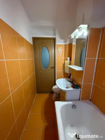 Apartament 1 camera Timișoara - poza 8