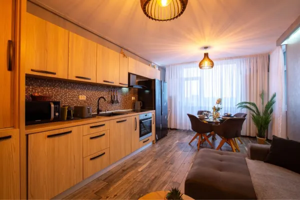 Apartament 2 camere Timișoara - poza 1