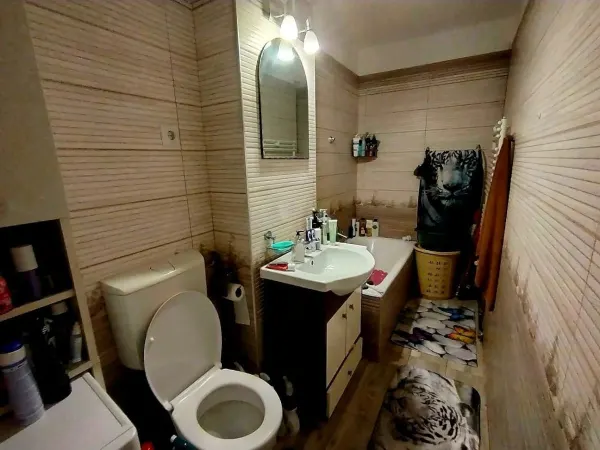 Apartament 3 camere Timișoara - poza 4