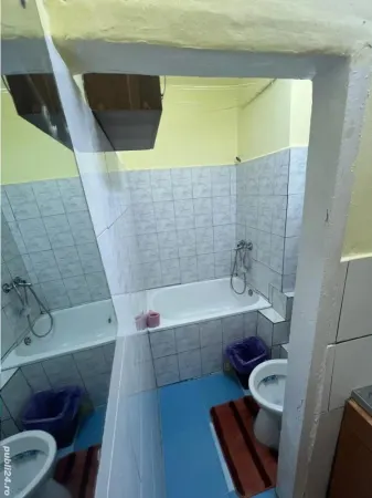 Apartament 1 camera Timișoara - poza 3