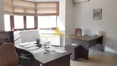 NOVISIMO-IMOBILIARE: VILA DE INCHIRIAT , ULTRACENTRAL - foto 5