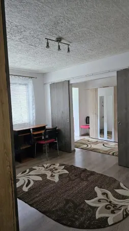 Apartament 2 camere Timișoara - poza 1