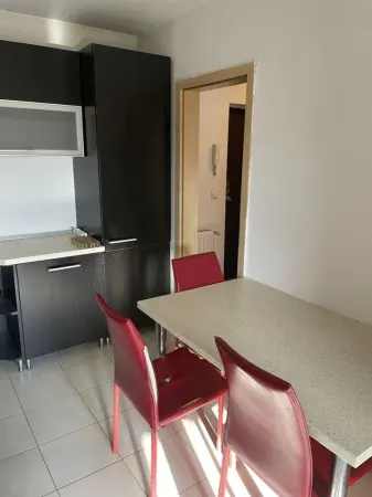 Apartament 1 camera Timișoara - poza 11