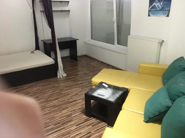 Apartament 1 camera Timișoara - poza 14