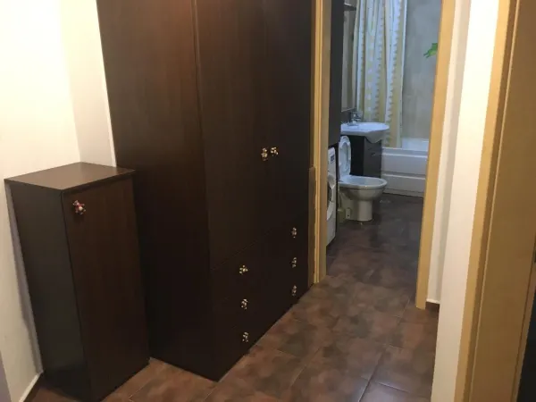 Apartament 1 camera Timișoara - poza 3
