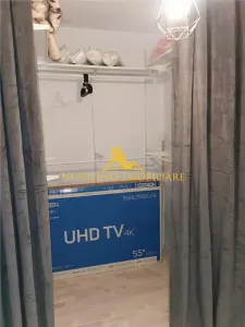 NOVISIMO-IMOBILIARE: DUPLEX DE INCHIRIAT IN ZONA ALBERT - foto 14
