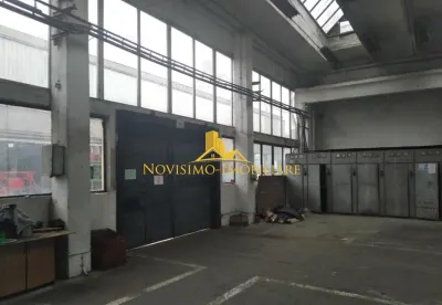 NOVISIMO-IMOBILIARE: HALA DE INCHIRIAT - foto 2