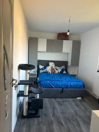 Apartament 3 camere Timișoara - poza 3