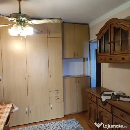 Apartament 2 camere Timișoara - poza 10